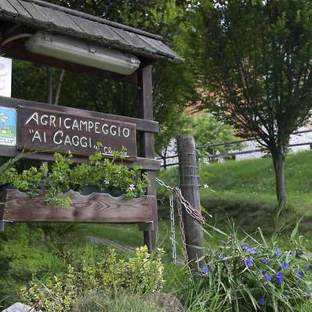 Agricampeggio Ai Gaggi Pellizzano Esterno foto